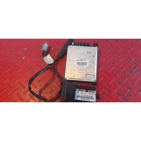 Harley FLH TOURING komputer, ecm, tsm, antena
